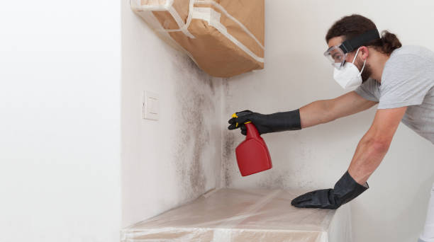 Professional Crawl Space Mold Removal technician working in Mont Clare, PA