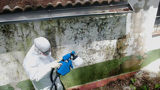 Trusted Mold Inspection service in Mont Clare, PA - Cheap Mold Removal